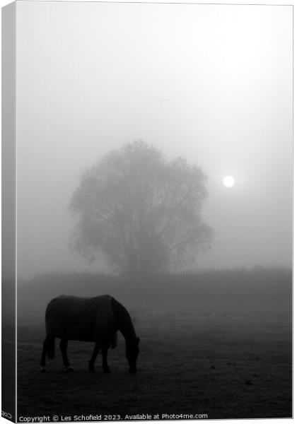Misty Morning Equine Serenity Canvas Print by Les Schofield