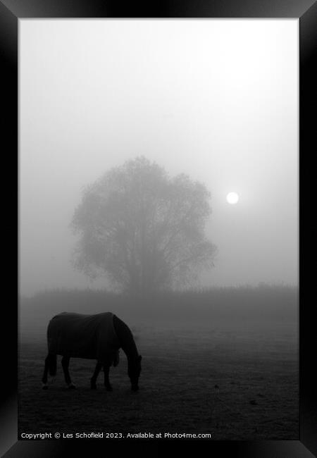 Misty Morning Equine Serenity Framed Print by Les Schofield