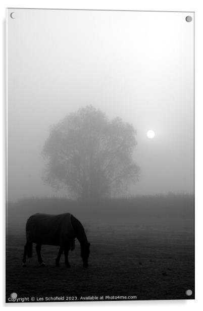 Misty Morning Equine Serenity Acrylic by Les Schofield