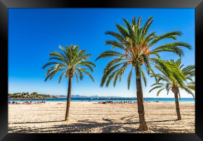 Bay of Alcudia on Mallorca  Framed Print by Alex Winter