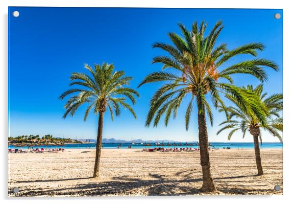 Bay of Alcudia on Mallorca  Acrylic by Alex Winter