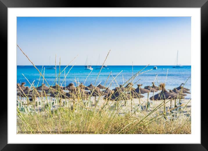 Idyllic beach scenery with beach umbrellas and bea Framed Mounted Print by Alex Winter