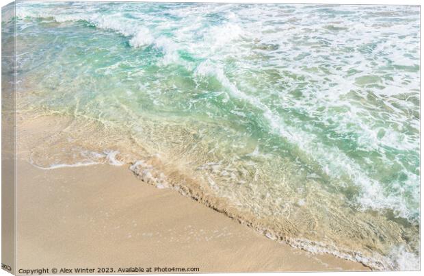 Soft blue sea wave on sand beach, close-up Canvas Print by Alex Winter
