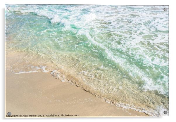 Soft blue sea wave on sand beach, close-up Acrylic by Alex Winter