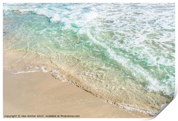 Soft blue sea wave on sand beach, close-up Print by Alex Winter