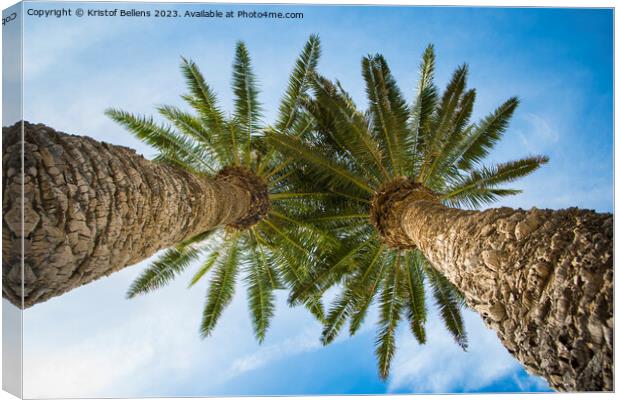 Low angle view on two palm trees shot directly into the sun. Canvas Print by Kristof Bellens