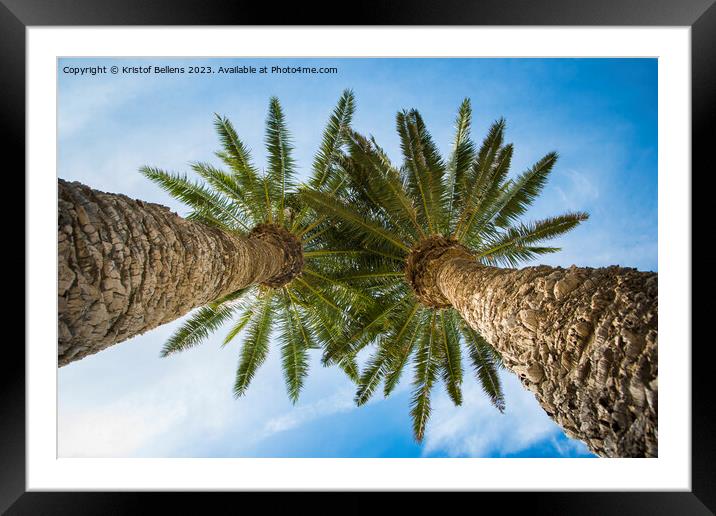 Low angle view on two palm trees shot directly into the sun. Framed Mounted Print by Kristof Bellens