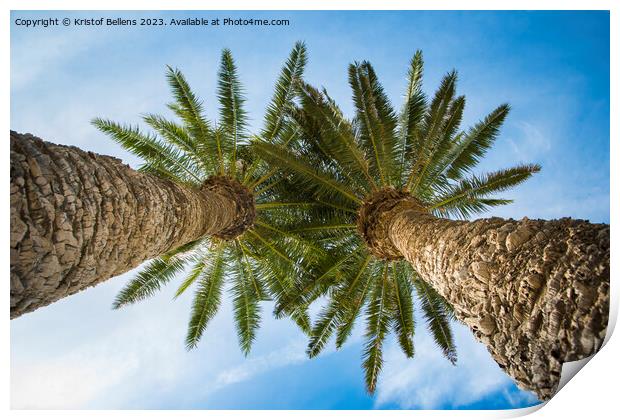 Low angle view on two palm trees shot directly into the sun. Print by Kristof Bellens