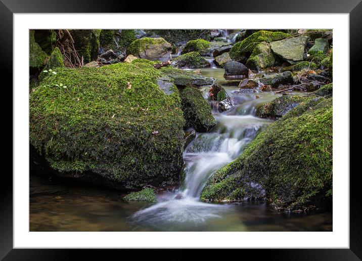 Outdoor water. High Tatras National Park, Slovakia Framed Mounted Print by Irena Chlubna