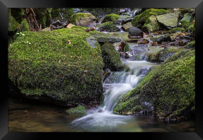 Outdoor water. High Tatras National Park, Slovakia Framed Print by Irena Chlubna