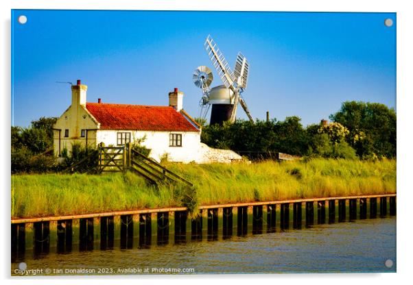 Windmill by the Broads Acrylic by Ian Donaldson