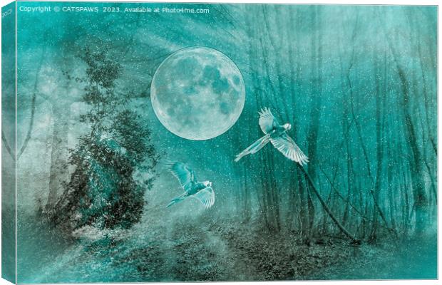 FOREST DREAMING Canvas Print by CATSPAWS 