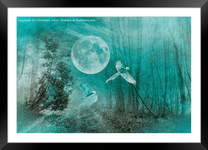 FOREST DREAMING Framed Mounted Print by CATSPAWS 