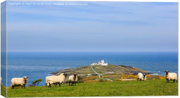 View to Point Lynas Anglesey Coast Panoramic Canvas Print by Pearl Bucknall