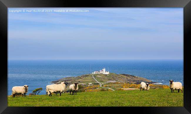 View to Point Lynas Anglesey Coast Panoramic Framed Print by Pearl Bucknall