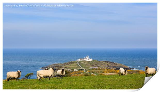 View to Point Lynas Anglesey Coast Panoramic Print by Pearl Bucknall