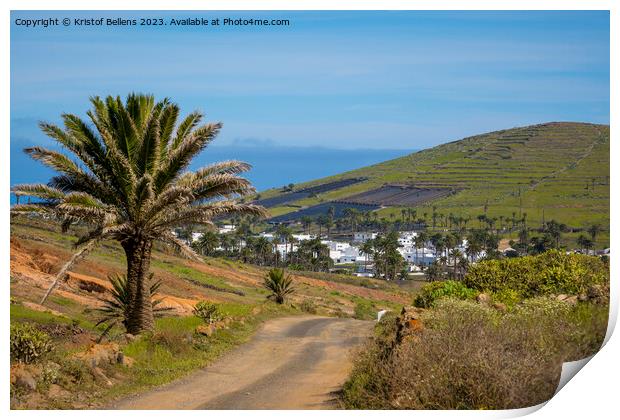 View on Haria on Lanzarote and the valley of the thousand palms. Print by Kristof Bellens