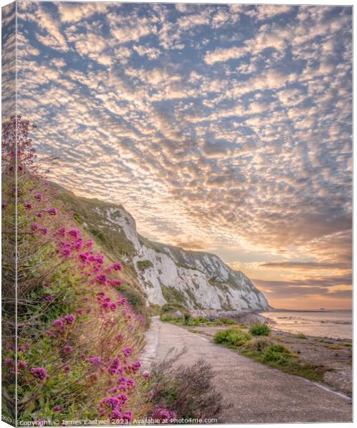 Folkestone Warren - A colourful morning  Canvas Print by James Eastwell