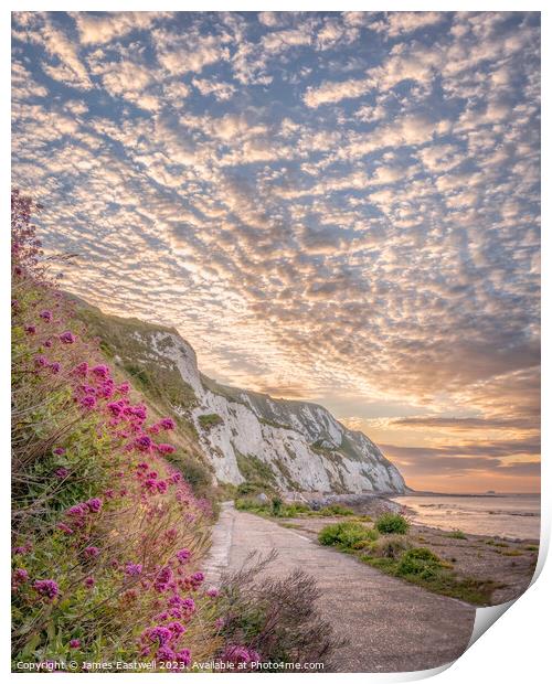 Folkestone Warren - A colourful morning  Print by James Eastwell