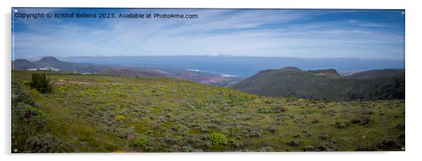 Panoramic Lanzarote landscape during springtime. Acrylic by Kristof Bellens