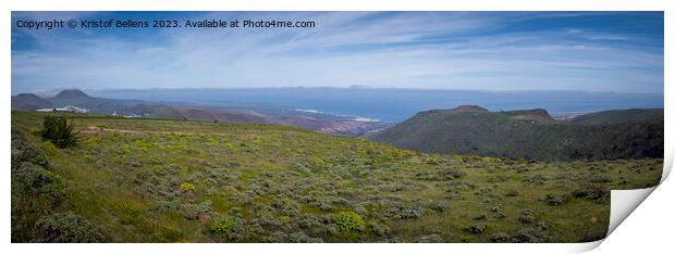 Panoramic Lanzarote landscape during springtime. Print by Kristof Bellens