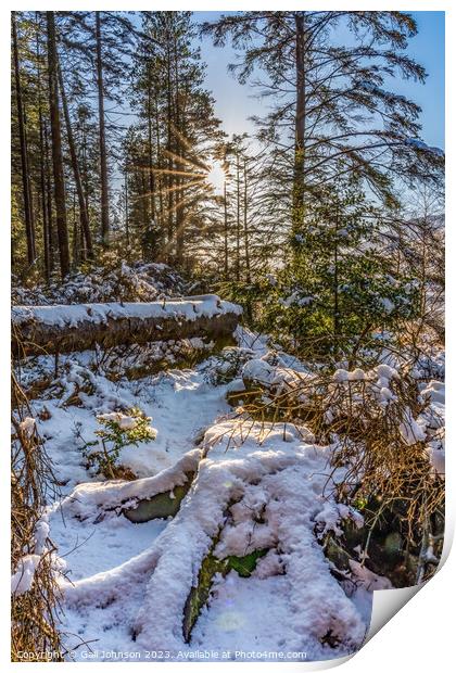Winter in Snowdonia after a fall of snow  Print by Gail Johnson