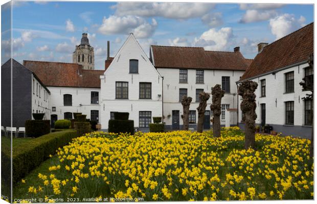 Oudenaarde Beguinage in Spring Canvas Print by Imladris 