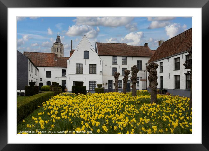 Oudenaarde Beguinage in Spring Framed Mounted Print by Imladris 
