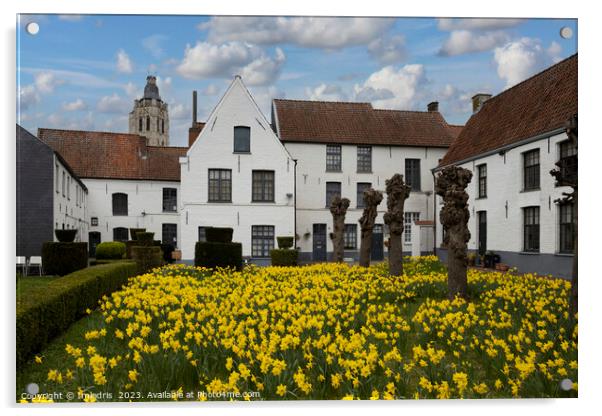 Oudenaarde Beguinage in Spring Acrylic by Imladris 
