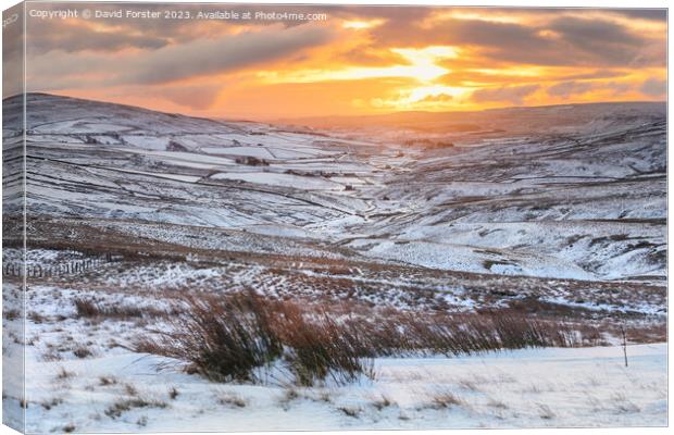 Winter Sunrise over Harwood in Teesdale, County Durham, UK Canvas Print by David Forster