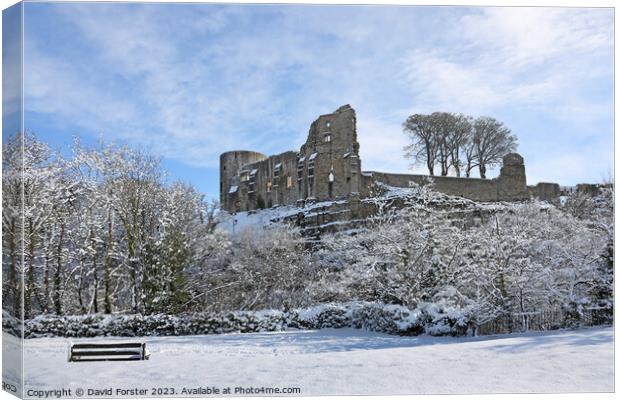 Barnard Castle in Winter, Teesdale, County Durham, UK Canvas Print by David Forster