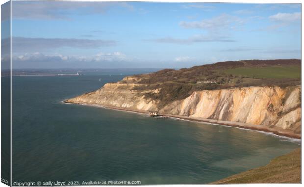Majestic View of Alum Bay Canvas Print by Sally Lloyd