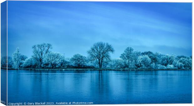 Dinton Pastures at Sunrise Canvas Print by Gary Blackall