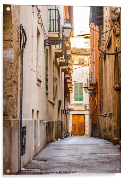 Historic Palma de Mallorca, Spain Acrylic by Alex Winter
