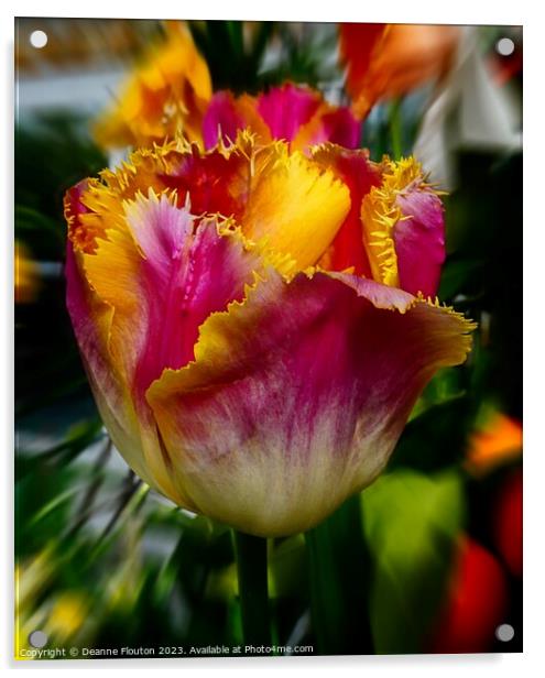 Fiery Tulip Blaze Acrylic by Deanne Flouton
