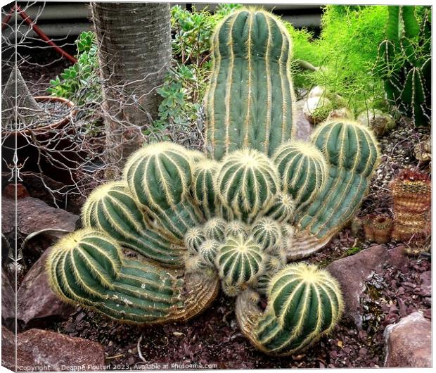 Rugged Beauty in a Cactus Clan Canvas Print by Deanne Flouton