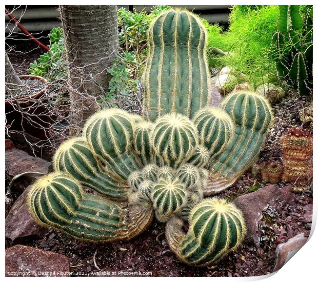 Rugged Beauty in a Cactus Clan Print by Deanne Flouton