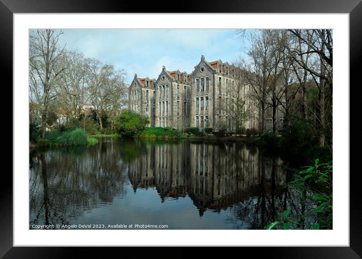 Water Reflections in Park Dom Carlos I Framed Mounted Print by Angelo DeVal