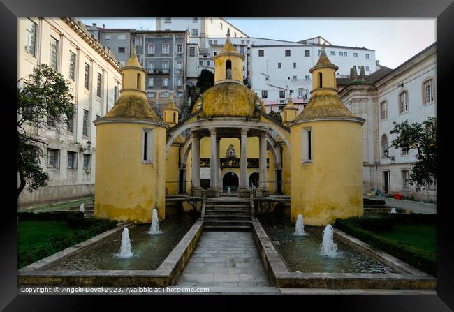 Manga Garden in Coimbra Framed Print by Angelo DeVal