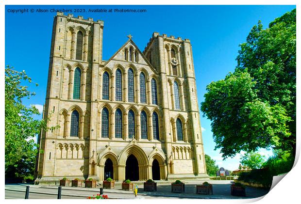 Ripon Cathedral  Print by Alison Chambers