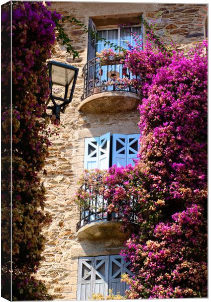 A Burst of Colored flowers in Bormes Les Mimosas Canvas Print by youri Mahieu
