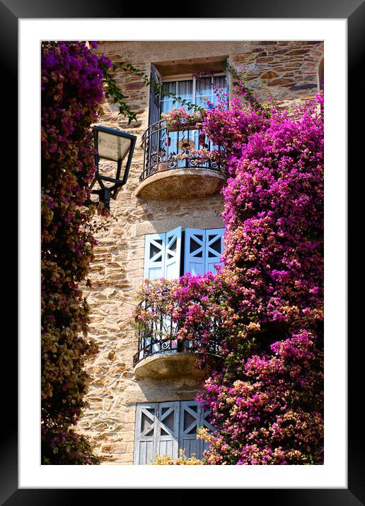 A Burst of Colored flowers in Bormes Les Mimosas Framed Mounted Print by youri Mahieu