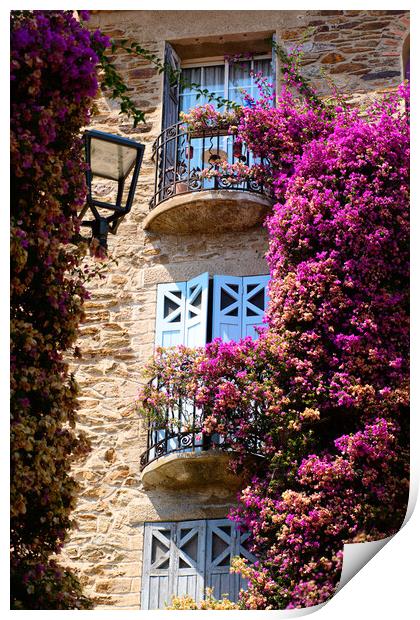 A Burst of Colored flowers in Bormes Les Mimosas Print by youri Mahieu
