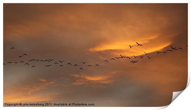 birds flying over san miguel de allende Print by john kolenberg