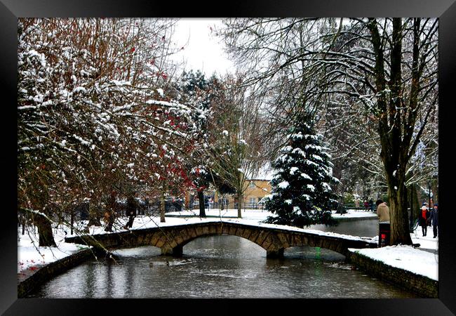 Enchanting Christmas Tree in Bourton on the Water Framed Print by Andy Evans Photos