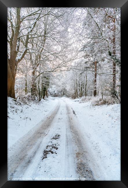 Snow covered lane in the Scottish Borders in the United Kingdom Framed Print by Dave Collins