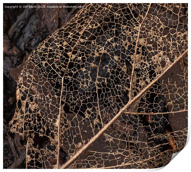 Leaf decay abstract Print by Cliff Kinch