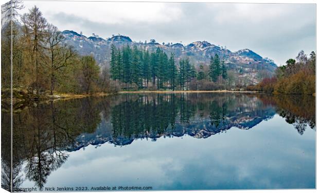 Yew Tree Tarn on Road to Coniston Canvas Print by Nick Jenkins