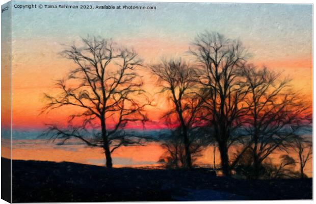 Trees at Daybreak Canvas Print by Taina Sohlman