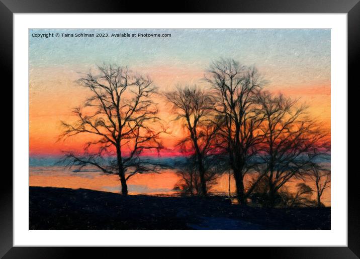 Trees at Daybreak Framed Mounted Print by Taina Sohlman